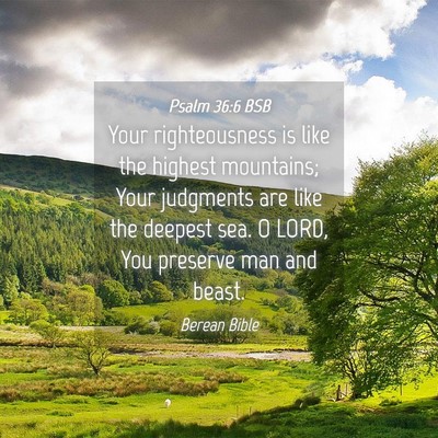 Picture 04 - Psalm 36:6 BSB - Your righteousness is like the highest mountains; - Bible Verse Picture