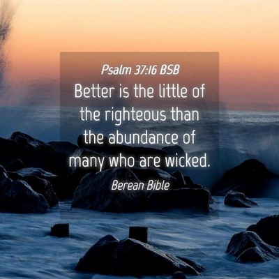 Picture 04 - Psalm 37:16 BSB - Better is the little of the righteous than the - Bible Verse Picture
