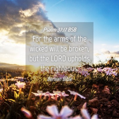 Picture 04 - Psalm 37:17 BSB - For the arms of the wicked will be broken, but - Bible Verse Picture