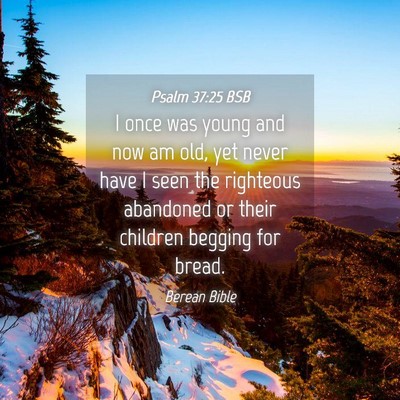 Picture 04 - Psalm 37:25 BSB - I once was young and now am old, yet never have I - Bible Verse Picture