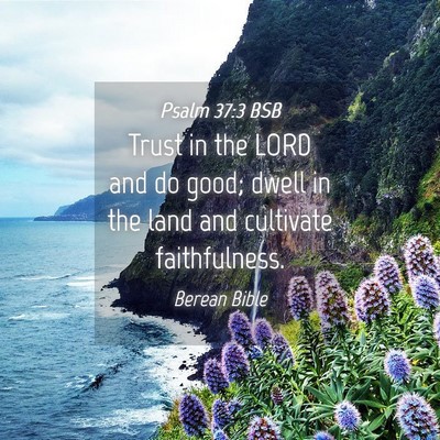 Picture 04 - Psalm 37:3 BSB - Trust in the LORD and do good; dwell in the land - Bible Verse Picture