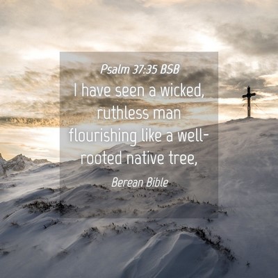 Picture 04 - Psalm 37:35 BSB - I have seen a wicked, ruthless man flourishing - Bible Verse Picture