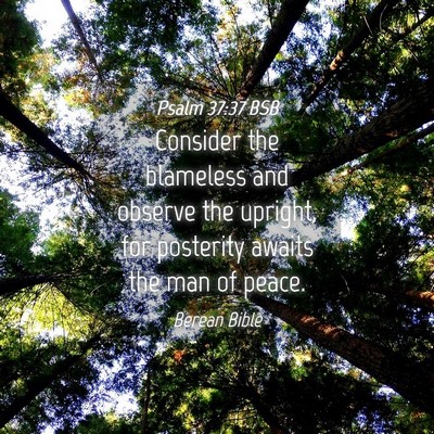 Picture 04 - Psalm 37:37 BSB - Consider the blameless and observe the upright, - Bible Verse Picture