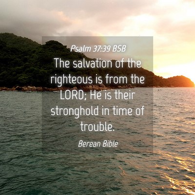 Picture 04 - Psalm 37:39 BSB - The salvation of the righteous is from the LORD; - Bible Verse Picture