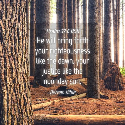Picture 04 - Psalm 37:6 BSB - He will bring forth your righteousness like the - Bible Verse Picture