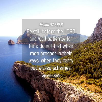 Picture 04 - Psalm 37:7 BSB - Be still before the LORD and wait patiently for - Bible Verse Picture