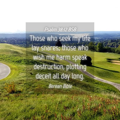 Picture 04 - Psalm 38:12 BSB - Those who seek my life lay snares; those who wish - Bible Verse Picture
