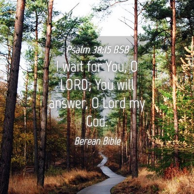 Picture 04 - Psalm 38:15 BSB - I wait for You, O LORD; You will answer, O Lord - Bible Verse Picture