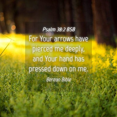 Picture 04 - Psalm 38:2 BSB - For Your arrows have pierced me deeply, and Your - Bible Verse Picture