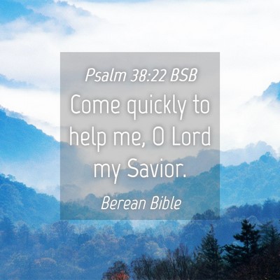 Picture 04 - Psalm 38:22 BSB - Come quickly to help me, O Lord my - Bible Verse Picture
