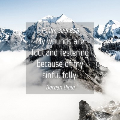Picture 04 - Psalm 38:5 BSB - My wounds are foul and festering because of my - Bible Verse Picture