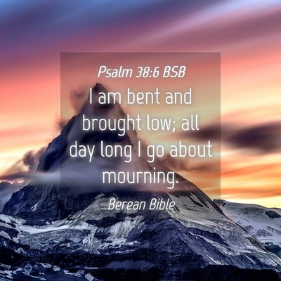 Picture 04 - Psalm 38:6 BSB - I am bent and brought low; all day long I go - Bible Verse Picture