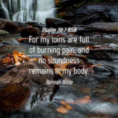 Picture 04 - Psalm 38:7 BSB - For my loins are full of burning pain, and no - Bible Verse Picture