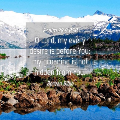 Picture 04 - Psalm 38:9 BSB - O Lord, my every desire is before You; my - Bible Verse Picture