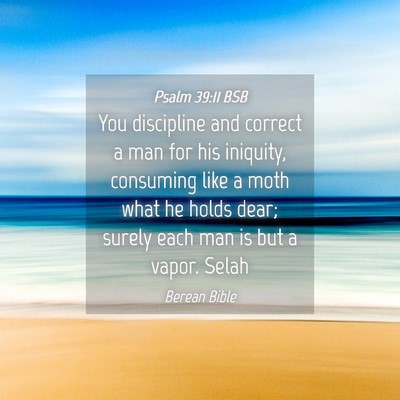 Picture 04 - Psalm 39:11 BSB - You discipline and correct a man for his - Bible Verse Picture