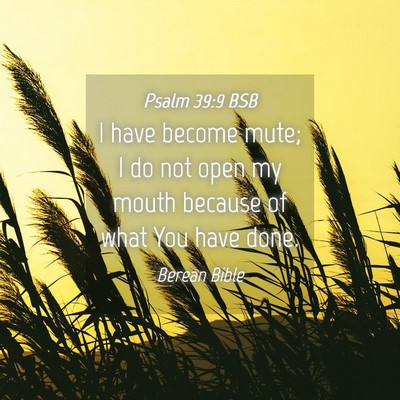 Picture 04 - Psalm 39:9 BSB - I have become mute; I do not open my mouth - Bible Verse Picture
