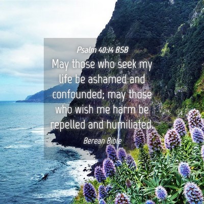 Picture 04 - Psalm 40:14 BSB - May those who seek my life be ashamed and - Bible Verse Picture