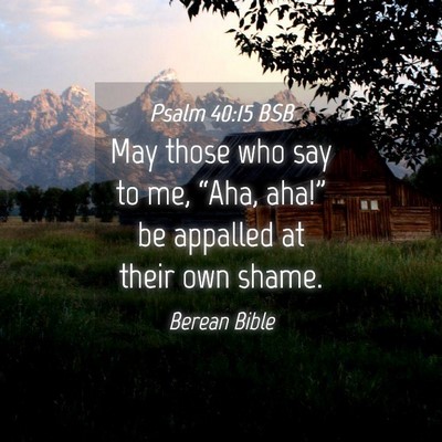 Picture 04 - Psalm 40:15 BSB - May those who say to me, “Aha, aha!” be - Bible Verse Picture
