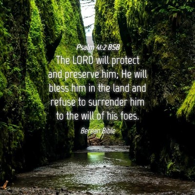 Picture 04 - Psalm 41:2 BSB - The LORD will protect and preserve him; He will - Bible Verse Picture