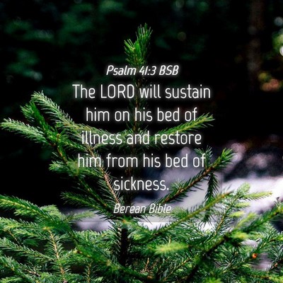 Picture 04 - Psalm 41:3 BSB - The LORD will sustain him on his bed of illness - Bible Verse Picture