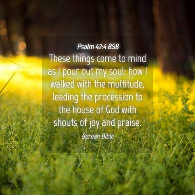 Picture 04 - Psalm 42:4 BSB - These things come to mind as I pour out my soul: - Bible Verse Picture