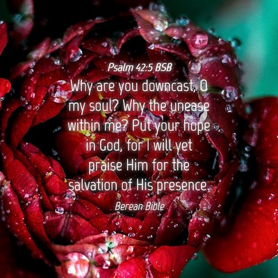 Picture 04 - Psalm 42:5 BSB - Why are you downcast, O my soul? Why the unease - Bible Verse Picture
