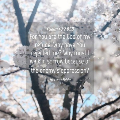 Picture 04 - Psalm 43:2 BSB - For You are the God of my refuge. Why have You - Bible Verse Picture