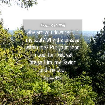 Picture 04 - Psalm 43:5 BSB - Why are you downcast, O my soul? Why the unease - Bible Verse Picture