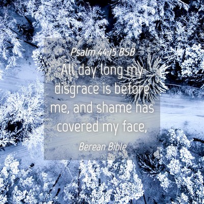 Picture 04 - Psalm 44:15 BSB - All day long my disgrace is before me, and shame - Bible Verse Picture