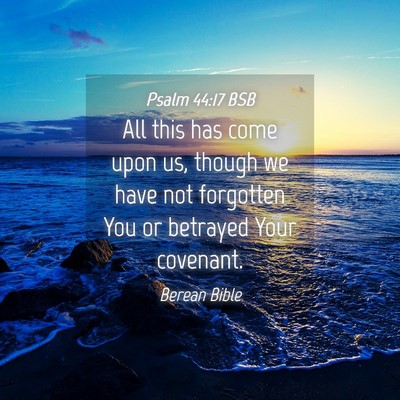 Picture 04 - Psalm 44:17 BSB - All this has come upon us, though we have not - Bible Verse Picture