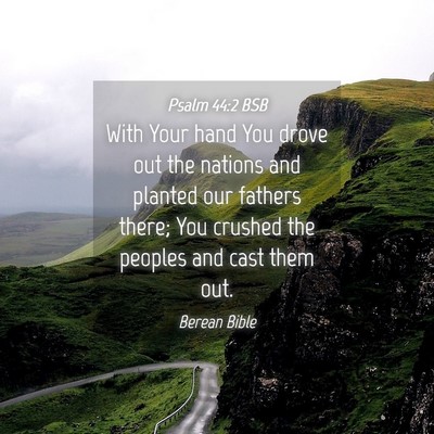 Picture 04 - Psalm 44:2 BSB - With Your hand You drove out the nations and - Bible Verse Picture