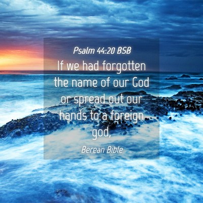 Picture 04 - Psalm 44:20 BSB - If we had forgotten the name of our God or spread - Bible Verse Picture