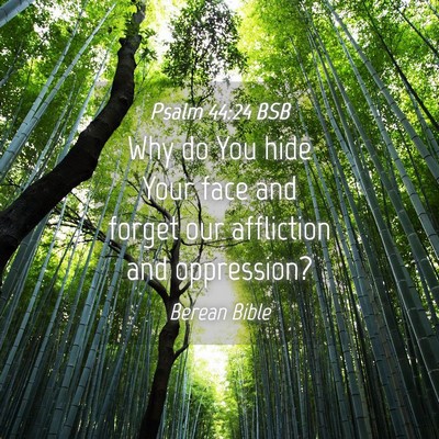 Picture 04 - Psalm 44:24 BSB - Why do You hide Your face and forget our - Bible Verse Picture