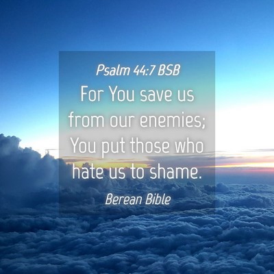 Picture 04 - Psalm 44:7 BSB - For You save us from our enemies; You put those - Bible Verse Picture