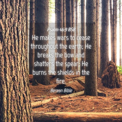 Picture 04 - Psalm 46:9 BSB - He makes wars to cease throughout the earth; He - Bible Verse Picture