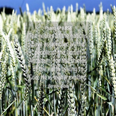 Picture 04 - Psalm 47:9 BSB - The nobles of the nations have assembled as the - Bible Verse Picture