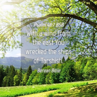 Picture 04 - Psalm 48:7 BSB - With a wind from the east You wrecked the ships - Bible Verse Picture