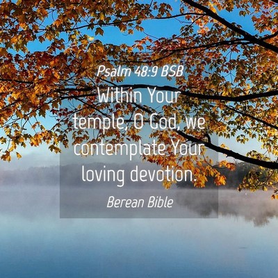 Picture 04 - Psalm 48:9 BSB - Within Your temple, O God, we contemplate Your - Bible Verse Picture