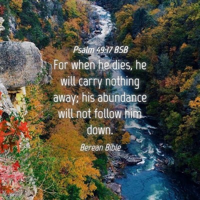 Picture 04 - Psalm 49:17 BSB - For when he dies, he will carry nothing away; his - Bible Verse Picture