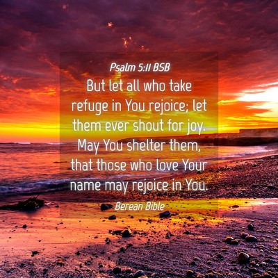 Picture 04 - Psalm 5:11 BSB - But let all who take refuge in You rejoice; let - Bible Verse Picture