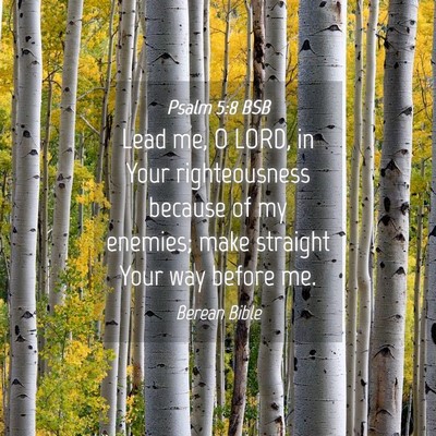Picture 04 - Psalm 5:8 BSB - Lead me, O LORD, in Your righteousness because of - Bible Verse Picture