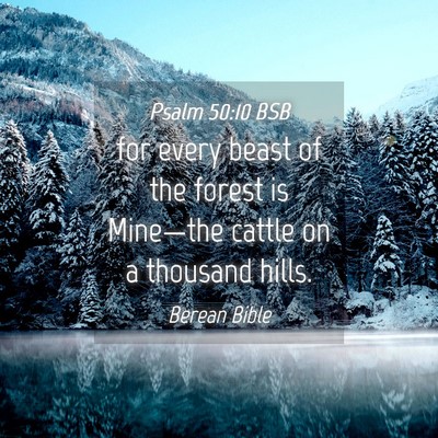 Picture 04 - Psalm 50:10 BSB - for every beast of the forest is Mine—the - Bible Verse Picture