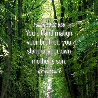 Picture 04 - Psalm 50:20 BSB - You sit and malign your brother; you slander your - Bible Verse Picture