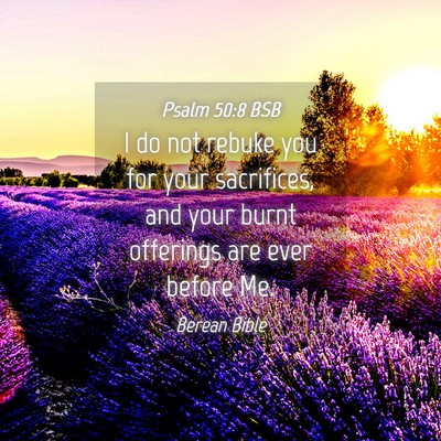 Picture 04 - Psalm 50:8 BSB - I do not rebuke you for your sacrifices, and your - Bible Verse Picture
