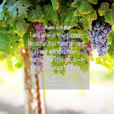 Picture 04 - Psalm 52:9 BSB - I will praise You forever, because You have done - Bible Verse Picture