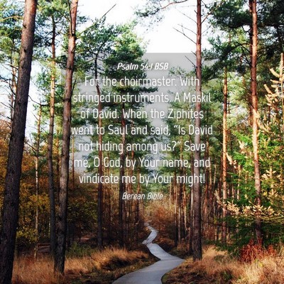 Picture 04 - Psalm 54:1 BSB - For the choirmaster. With stringed instruments. A - Bible Verse Picture