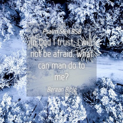 Picture 04 - Psalm 56:11 BSB - in God I trust; I will not be afraid. What can - Bible Verse Picture