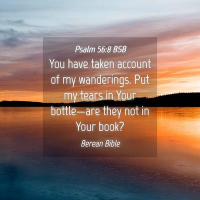 Picture 04 - Psalm 56:8 BSB - You have taken account of my wanderings. Put my - Bible Verse Picture