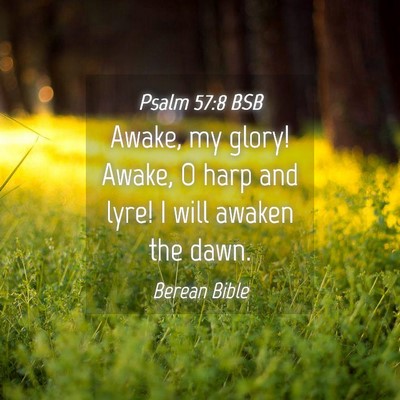 Picture 04 - Psalm 57:8 BSB - Awake, my glory! Awake, O harp and lyre! I will - Bible Verse Picture
