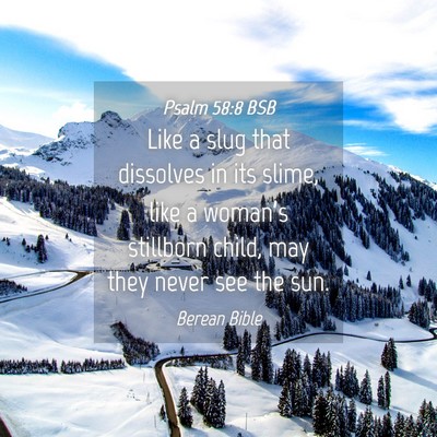 Picture 04 - Psalm 58:8 BSB - Like a slug that dissolves in its slime, like a - Bible Verse Picture